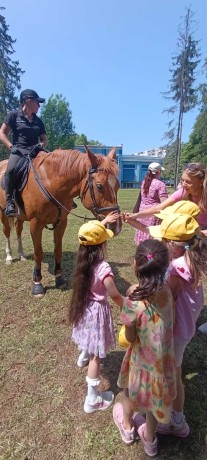 IMG_20250605_112815