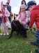 IMG_20250527_102305