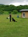 IMG_20250527_102654
