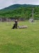 IMG_20250527_102937