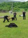 IMG_20250527_104737