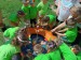 IMG_20250612_094734