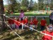 IMG_20250612_101407