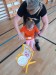 IMG_20260225_095116